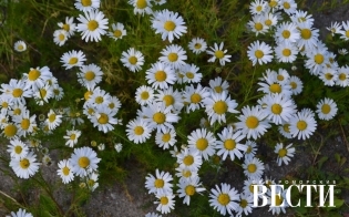 ���������� � "�������"