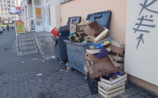 ������ ������������. ����� 1