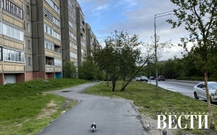 ������� ������ �� 14 ����