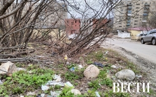 Онлайн-встреча главы с жителями: вопросы благоустройства