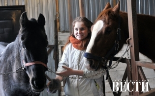 ������ ���������� � ��������