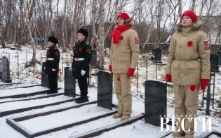 ���� ������ ���������