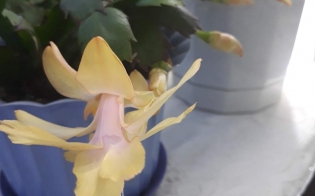 � ����� ����� ������ ��������� � �����