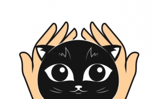 ����������������� �����