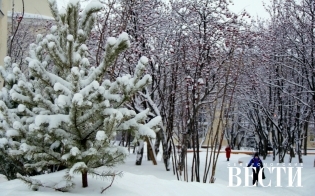 ������� ������ �� 27 �������