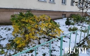 ������� ������ �� 22 �������