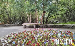 ������� ������ �� 17 �������