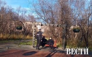 ������ ������������