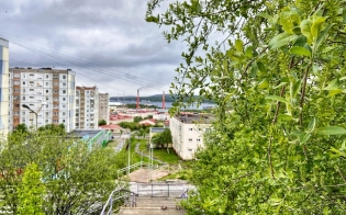 ������� ������ �� 12 ����