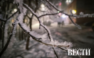 ������� ������ �� 8 ������