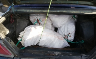 ������ ������������