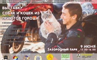 ���� ������ ����� ������: ����������������� �������