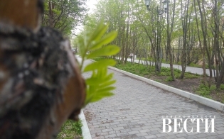 ������� ������ �� 14 ����