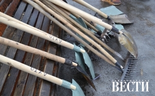 ������������ �������� �����������