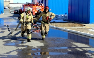 ������ ��������� 