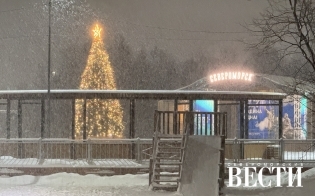 ��� ��������� �� ������