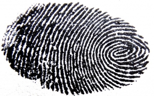 ����������� �� �������������