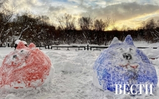 ������� ������ �� 9 �������