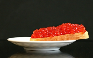 ����������� ����������� ������� ������ ����� ������� ����