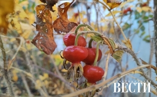 ������� ������ �� 1 ������