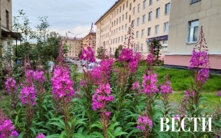 ������� ������ �� 6 �������