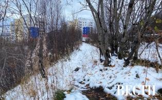 ������� ������ �� 10 ������