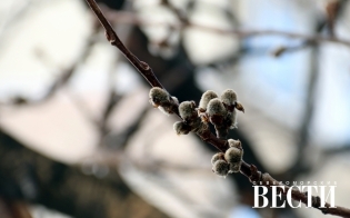 ������� ������ �� 6 ������