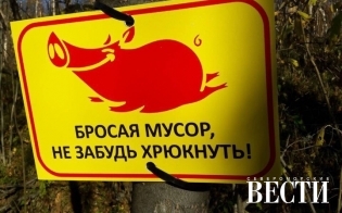 � ������� � �������