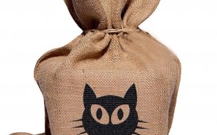 ������ ������������