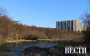 ����� ����