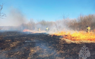 7 ��������� ������� �� ������