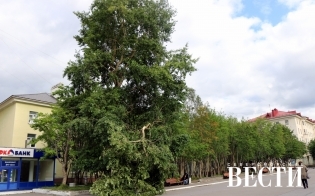 �� ��������