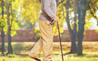 ������ ��� ��������� �������������