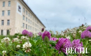 ������� ������ �� 17 ����