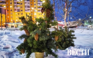 ������� ������ �� 25 �������