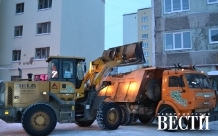 ������ ���������������� ������ ������ �� 14 �������