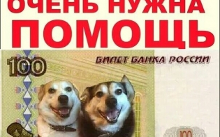 100 ������ �� "�������"