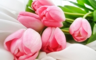 ������������ �������� �������� 8 �����!