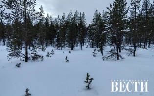 ������� ������ �� 28 �������