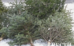 �������� �������! 