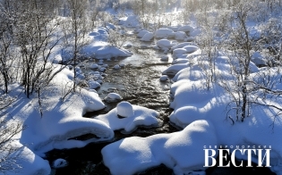 ������� ������ �� 26 �������