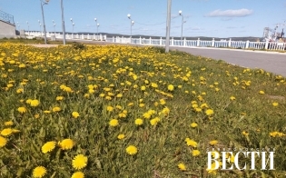 ������� ������ �� 16 ����