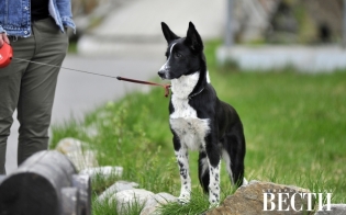 ���������� ���������� � ���������� � ������ �������� ��������