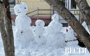 ������� ������ �� 6 ������