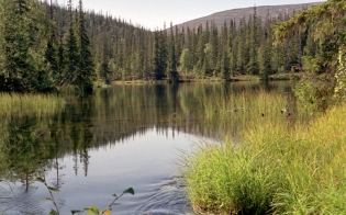 ���� �������� ������ � ����������� ����������� 