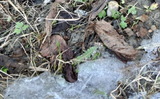 ������� ������ �� 28 �����