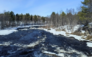 ������� ������ �� 31 �����