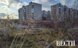 ������� ������ �� 17 �������