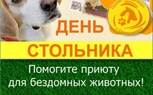 �������� - ������������