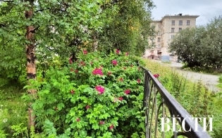 ������� ������ �� 12 �������